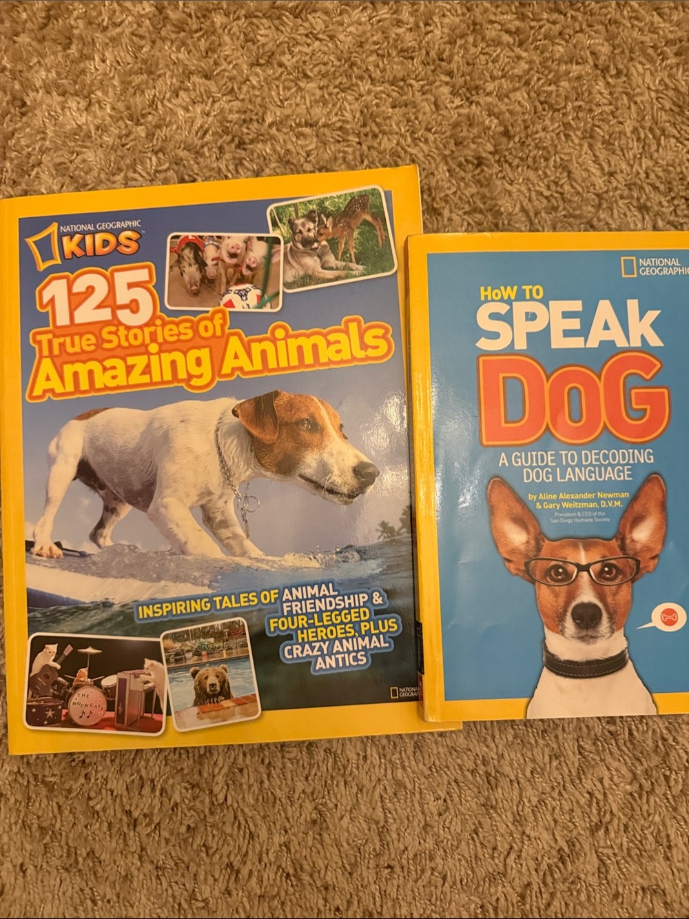 National Geographic Kids Animal Books Set